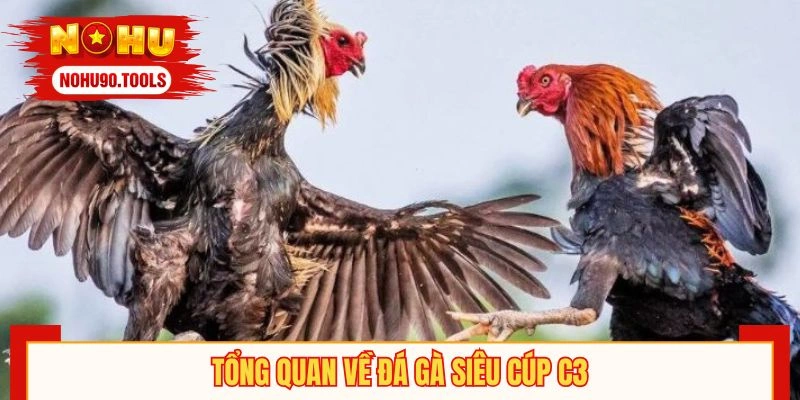 Khái quát sơ lược về đấu chiến kê C3